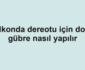 Balkonda dereotu için doğal gübre nasıl yapılır