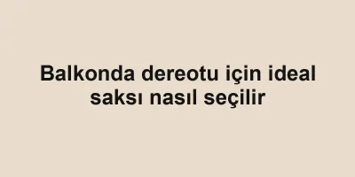 Balkonda dereotu için ideal saksı nasıl seçilir