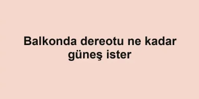 Balkonda dereotu ne kadar güneş ister