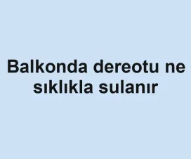 Balkonda dereotu ne sıklıkla sulanır