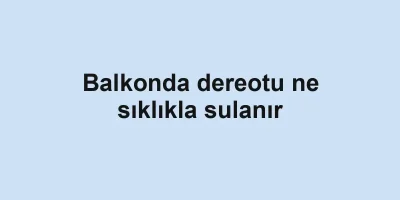 Balkonda dereotu ne sıklıkla sulanır