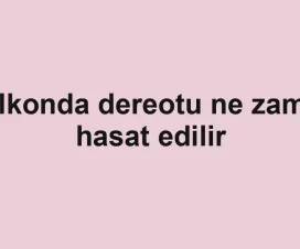 Balkonda dereotu ne zaman hasat edilir