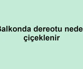Balkonda dereotu neden çiçeklenir