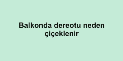 Balkonda dereotu neden çiçeklenir