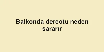Balkonda dereotu neden sararır
