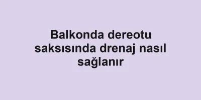 Balkonda dereotu saksısında drenaj nasıl sağlanır
