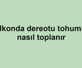 Balkonda dereotu tohumları nasıl toplanır