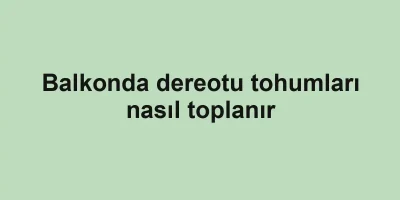 Balkonda dereotu tohumları nasıl toplanır