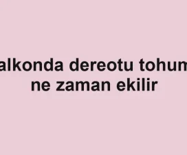 Balkonda dereotu tohumu ne zaman ekilir