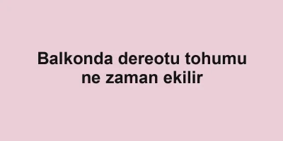 Balkonda dereotu tohumu ne zaman ekilir