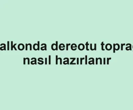 Balkonda dereotu toprağı nasıl hazırlanır