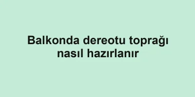 Balkonda dereotu toprağı nasıl hazırlanır