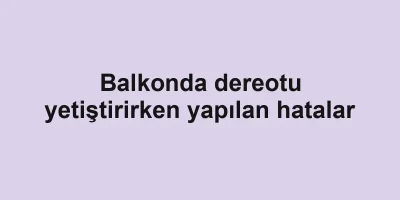 Balkonda dereotu yetiştirirken yapılan hatalar