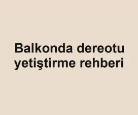 Balkonda dereotu yetiştirme rehberi