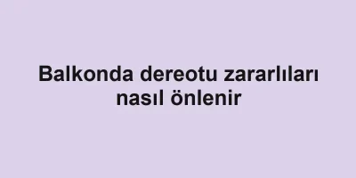 Balkonda dereotu zararlıları nasıl önlenir