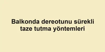 Balkonda dereotunu sürekli taze tutma yöntemleri