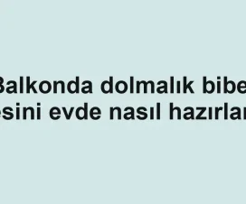 Balkonda dolmalık biber besini evde nasıl hazırlanır