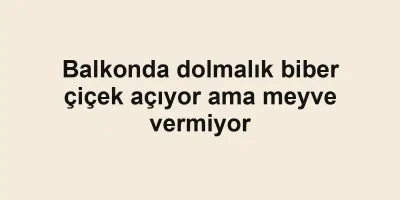Balkonda dolmalık biber çiçek açıyor ama meyve vermiyor