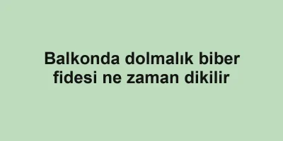 Balkonda dolmalık biber fidesi ne zaman dikilir