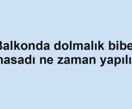 Balkonda dolmalık biber hasadı ne zaman yapılır