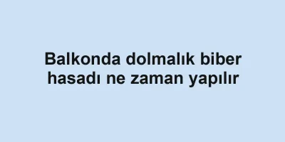 Balkonda dolmalık biber hasadı ne zaman yapılır