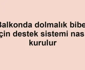 Balkonda dolmalık biber için destek sistemi nasıl kurulur