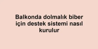 Balkonda dolmalık biber için destek sistemi nasıl kurulur