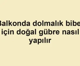 Balkonda dolmalık biber için doğal gübre nasıl yapılır