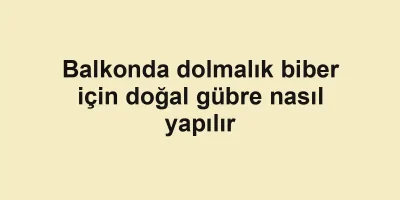 Balkonda dolmalık biber için doğal gübre nasıl yapılır