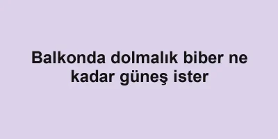 Balkonda dolmalık biber ne kadar güneş ister