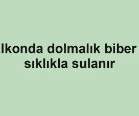 Balkonda dolmalık biber ne sıklıkla sulanır