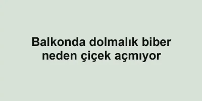 Balkonda dolmalık biber neden çiçek açmıyor