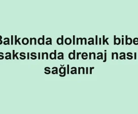 Balkonda dolmalık biber saksısında drenaj nasıl sağlanır