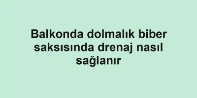 Balkonda dolmalık biber saksısında drenaj nasıl sağlanır