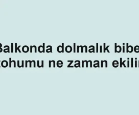Balkonda dolmalık biber tohumu ne zaman ekilir