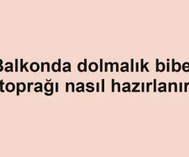 Balkonda dolmalık biber toprağı nasıl hazırlanır