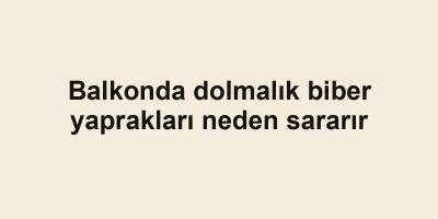 Balkonda dolmalık biber yaprakları neden sararır
