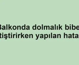 Balkonda dolmalık biber yetiştirirken yapılan hatalar
