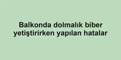 Balkonda dolmalık biber yetiştirirken yapılan hatalar