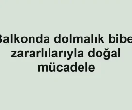 Balkonda dolmalık biber zararlılarıyla doğal mücadele
