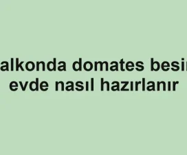 Balkonda domates besini evde nasıl hazırlanır