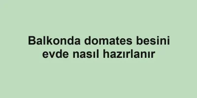 Balkonda domates besini evde nasıl hazırlanır
