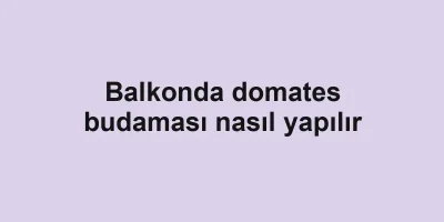 Balkonda domates budaması nasıl yapılır