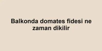 Balkonda domates fidesi ne zaman dikilir