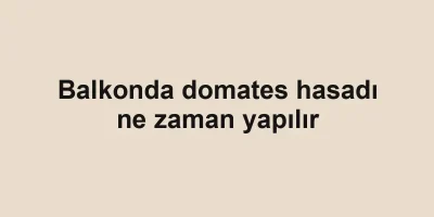 Balkonda domates hasadı ne zaman yapılır