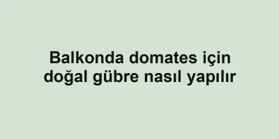 Balkonda domates için doğal gübre nasıl yapılır