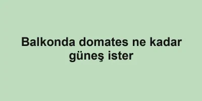Balkonda domates ne kadar güneş ister