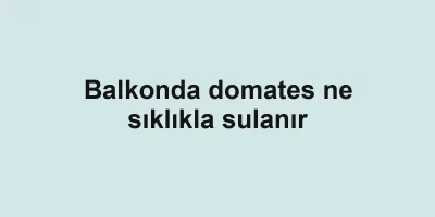 Balkonda domates ne sıklıkla sulanır