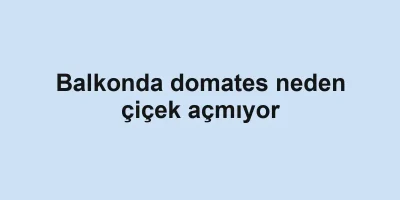Balkonda domates neden çiçek açmıyor