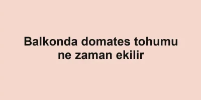 Balkonda domates tohumu ne zaman ekilir